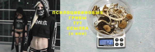 хмурый Киреевск