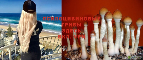 хмурый Киреевск